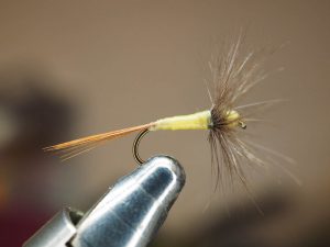A4 dry fly araignée spider flytying hackle Eclosion