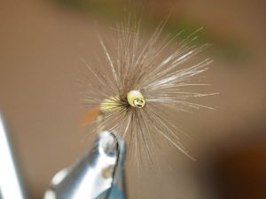 A4 dry fly araignée spider flytying hackle Eclosion