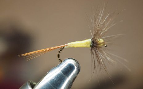 A4 dry fly araignée spider flytying hackle Eclosion