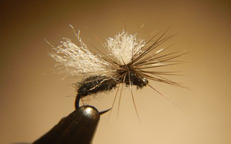 Fourmi ant parachute dryfly flytying mouche terrestre Eclosion