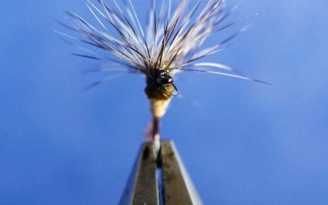 Parachute paraloop flytyiong dryfly mouche Eclosion