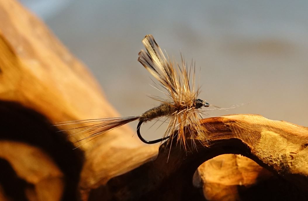 Mouches indispensables DryFly Flytying Eclosion