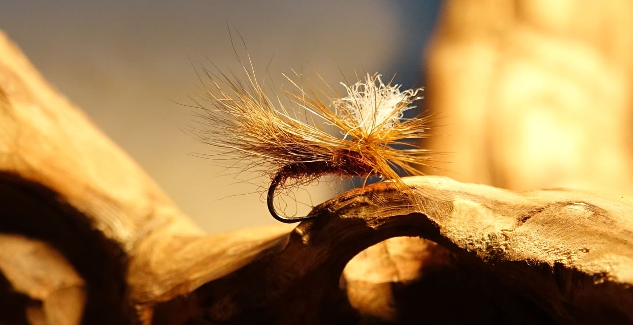 Mouches indispensables DryFly Flytying Eclosion