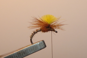 Parachute CDC 