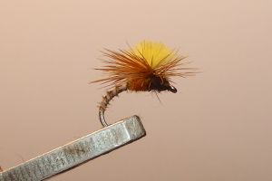 Parachute CDC 