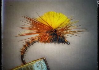 Parachute CDC flytying Eclosion 1