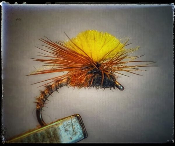 Parachute CDC flytying Eclosion 1