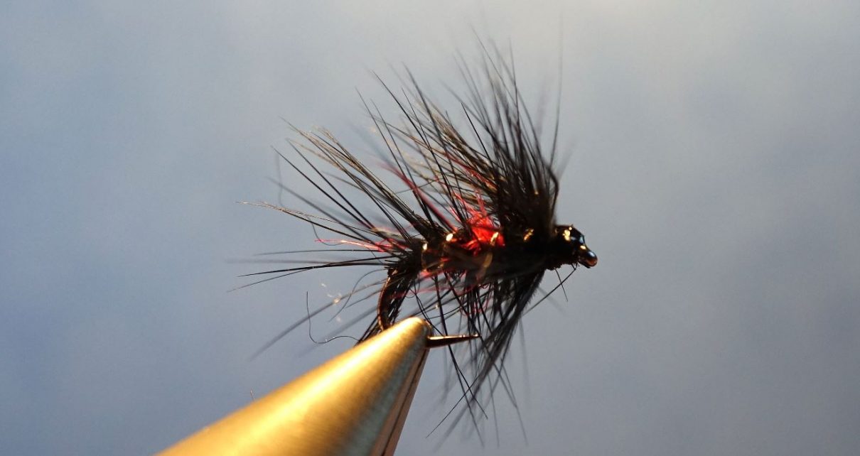 Bibio wet fly mouche noyee seal dubbing phoque Eclosion