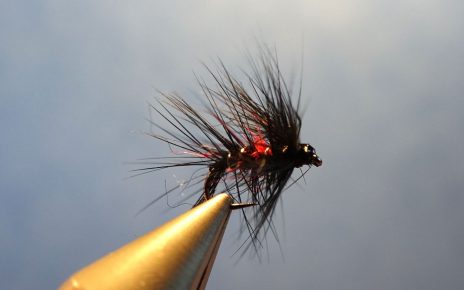 Bibio wet fly mouche noyee seal dubbing phoque Eclosion