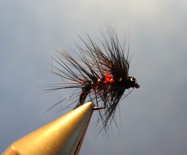 Bibio wet fly mouche noyee seal dubbing phoque Eclosion