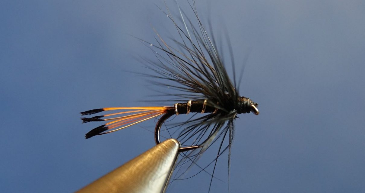 Black pennel wet fly mouche noyee Eclosion