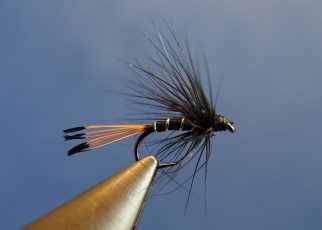 Black pennel wet fly mouche noyee Eclosion