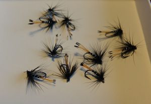 Black pennel wet fly mouche noyee Eclosion