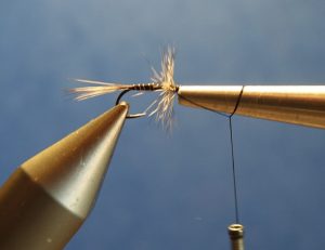 collerette flytying mouche dryfly eclosion