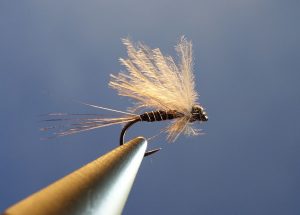 collerette flytying mouche dryfly eclosion