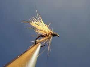 collerette flytying mouche dryfly eclosion