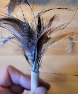 Tourillon porte plume flytying eclosion 4