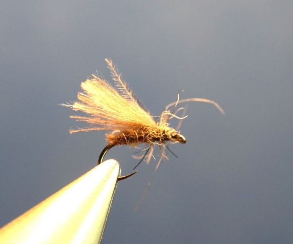 Caddis sedge CDC dryfly moucheflytying Eclosion