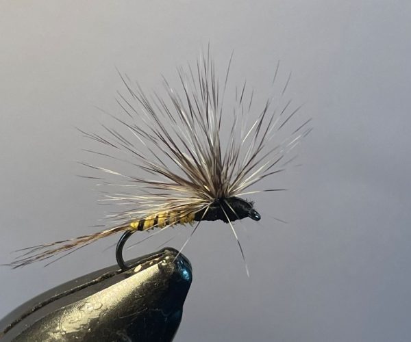 Paealoop mouche dry fly tying Eclosion