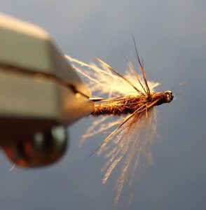 March brown