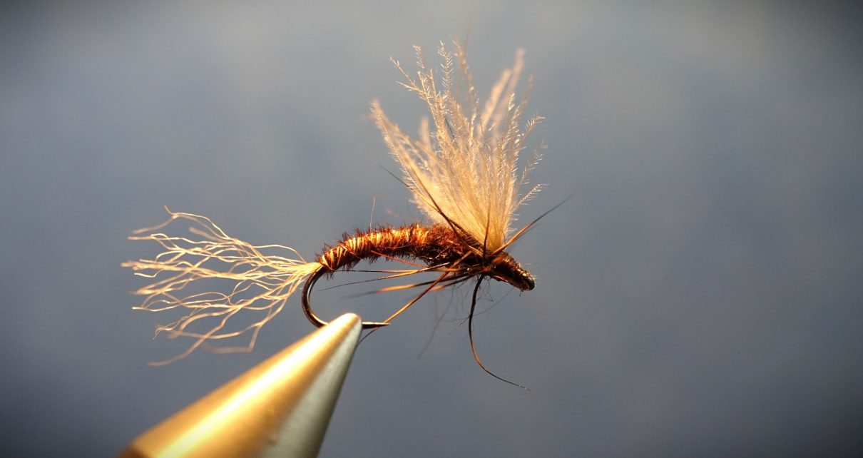 March brown