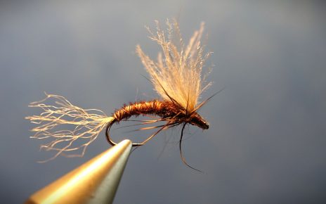 March brown