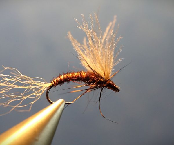 March brown