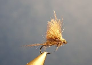 Atumn dun variant