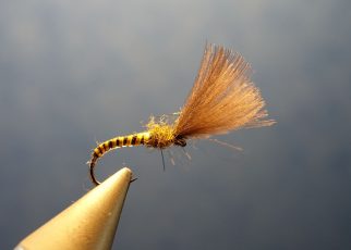 Shuttlecock dryfly emerger emergeante mouche fytying Eclosion