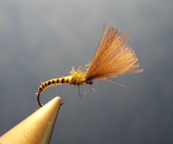 Shuttlecock dryfly emerger emergeante mouche fytying Eclosion