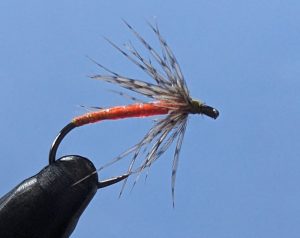 Orange partridge 