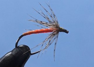 Orange partridge