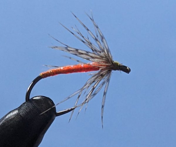 Orange partridge