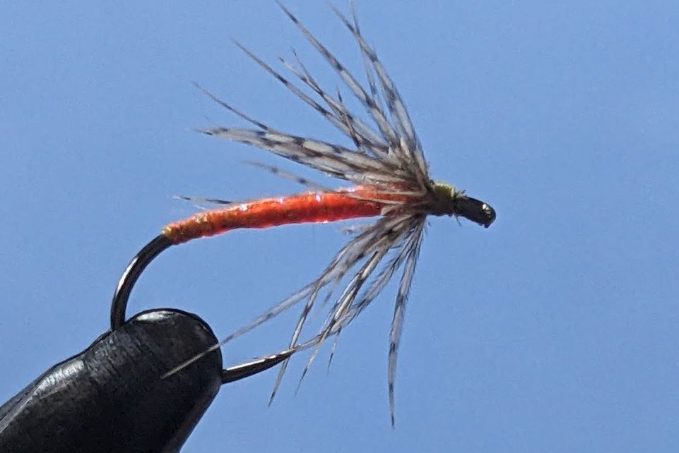 Orange partridge