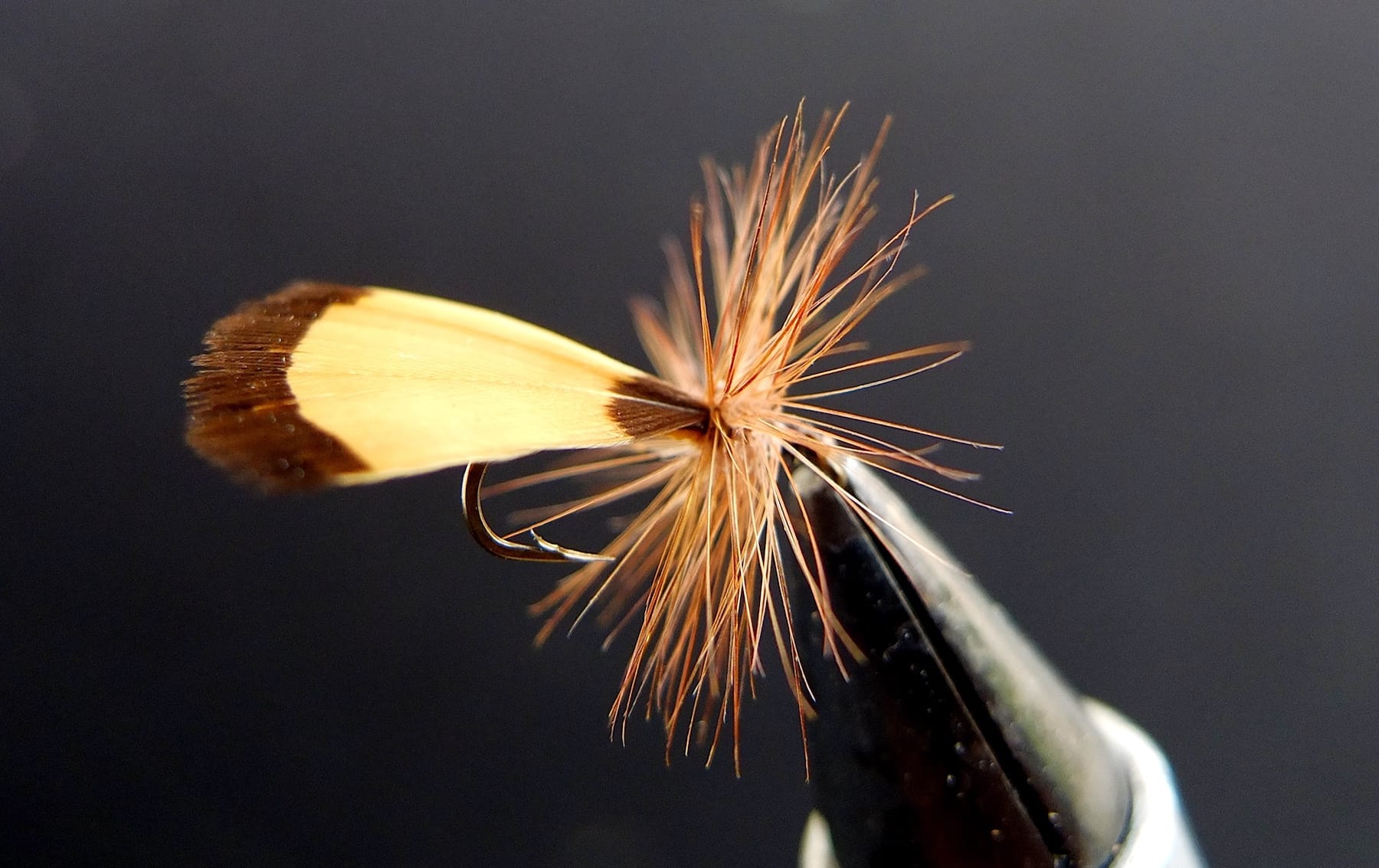Son sedge fétiche, la "bête du Bes" qu'il utilisait sur la rivière éponyme