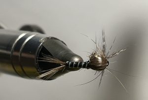Nymphe de surface