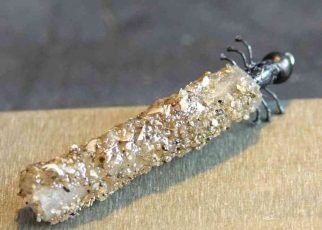Trichoptere larve nymph nymphe porte-bois caddis flytying mouche Eclosion
