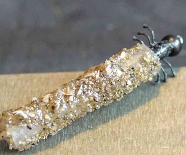 Trichoptere larve nymph nymphe porte-bois caddis flytying mouche Eclosion