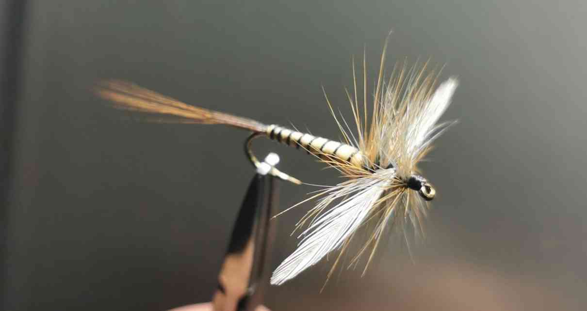 GALLICA-N°-5-17-1210x642