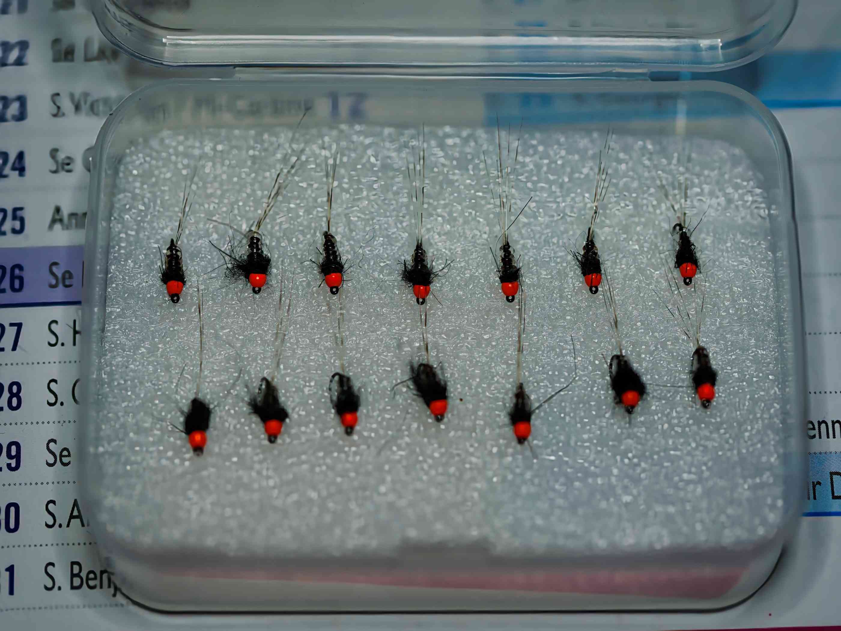 DSC_34601 (Personnalisé)