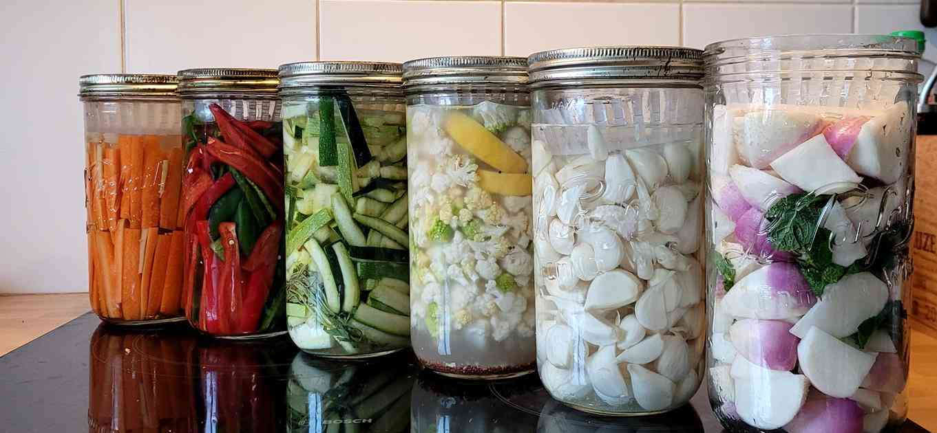 Lactofermentation (Copy)