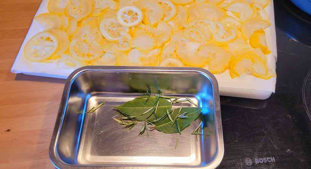 Citrons cedrat 6 (Copy)