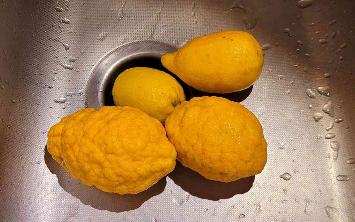 Citrons cedrat 8 (Copy)