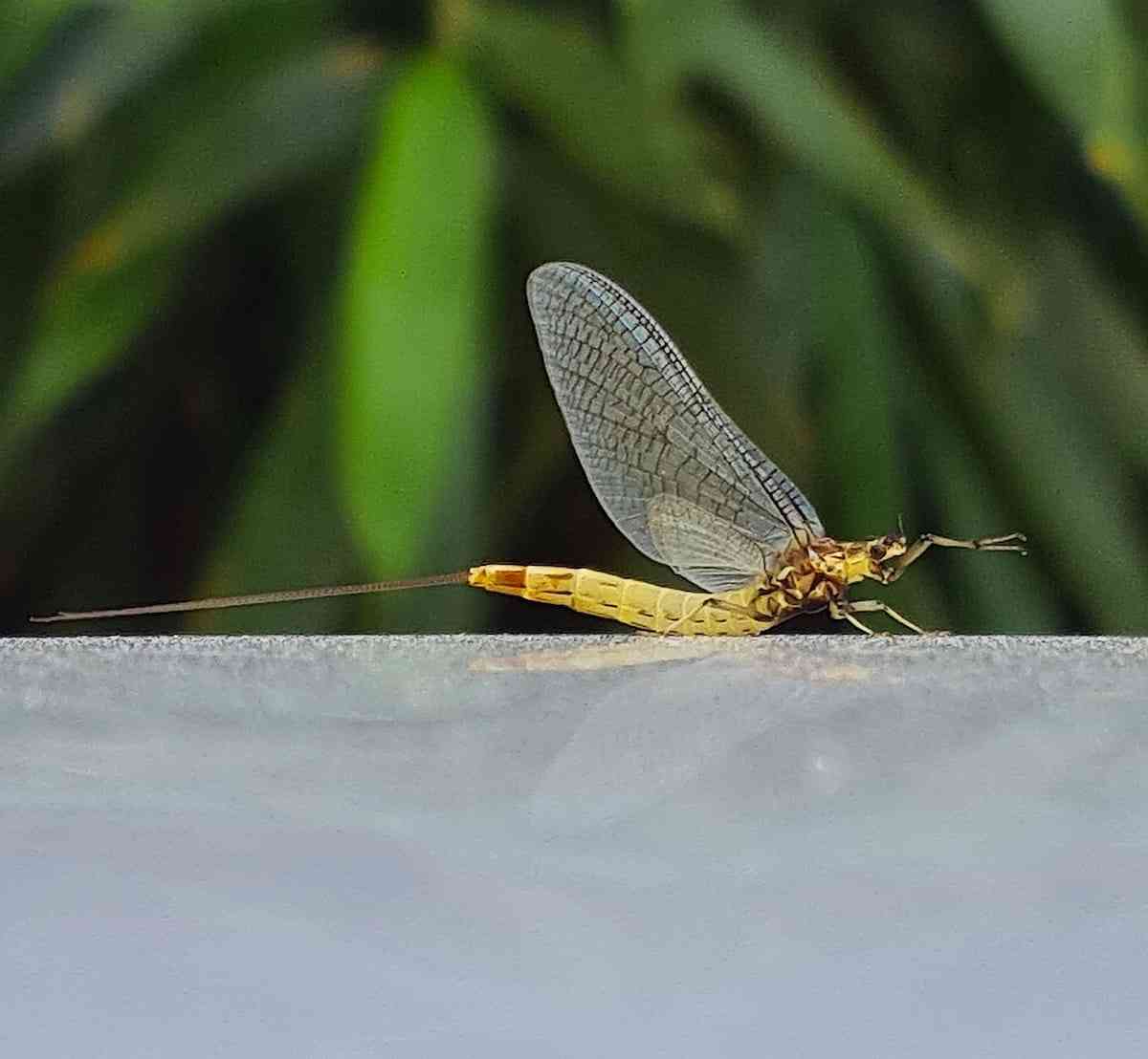 Concours-photos-20251-copie