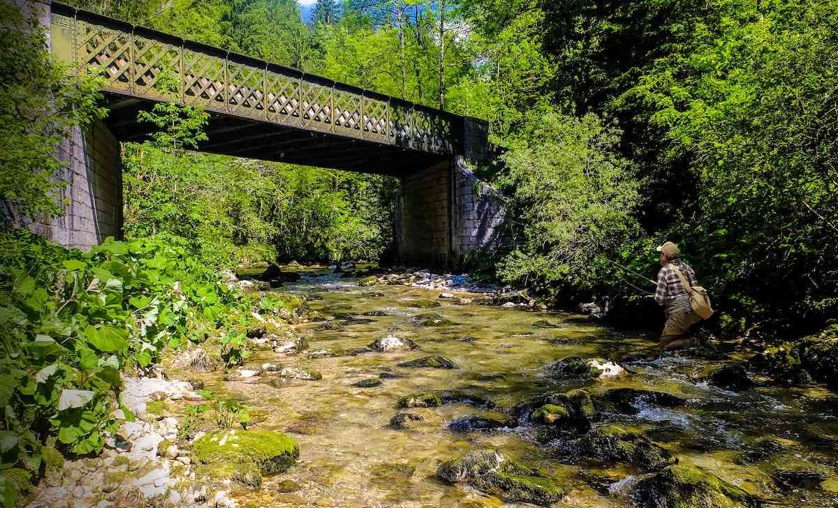 Concours-photos-20252-copie