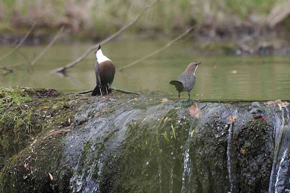 Concours-photos-20259-copie-bis-