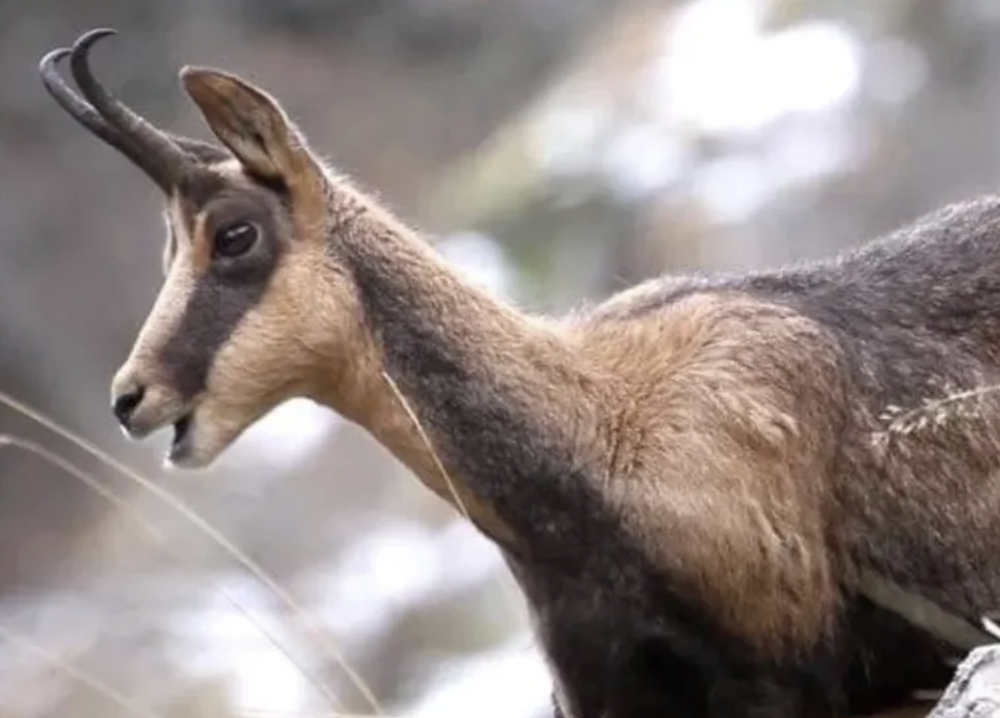 Capture d’écran 2026-04-13 à 14.39.14