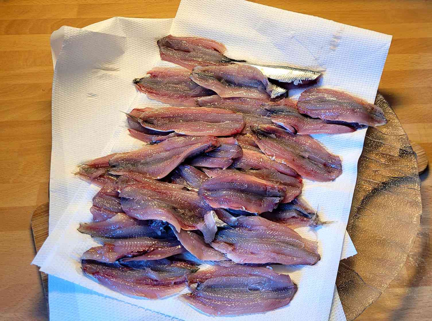 C sardibnes 2 (Copy)