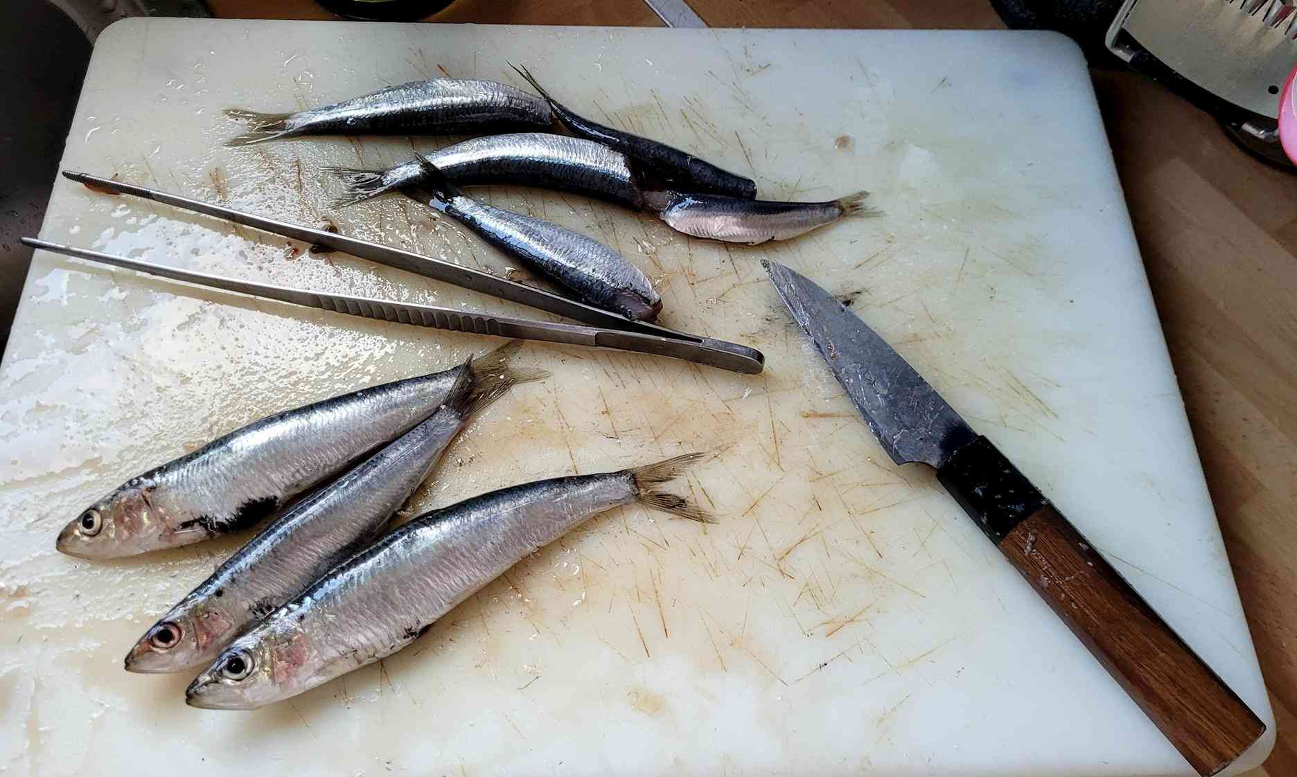 C sardibnes 1 (Copy)