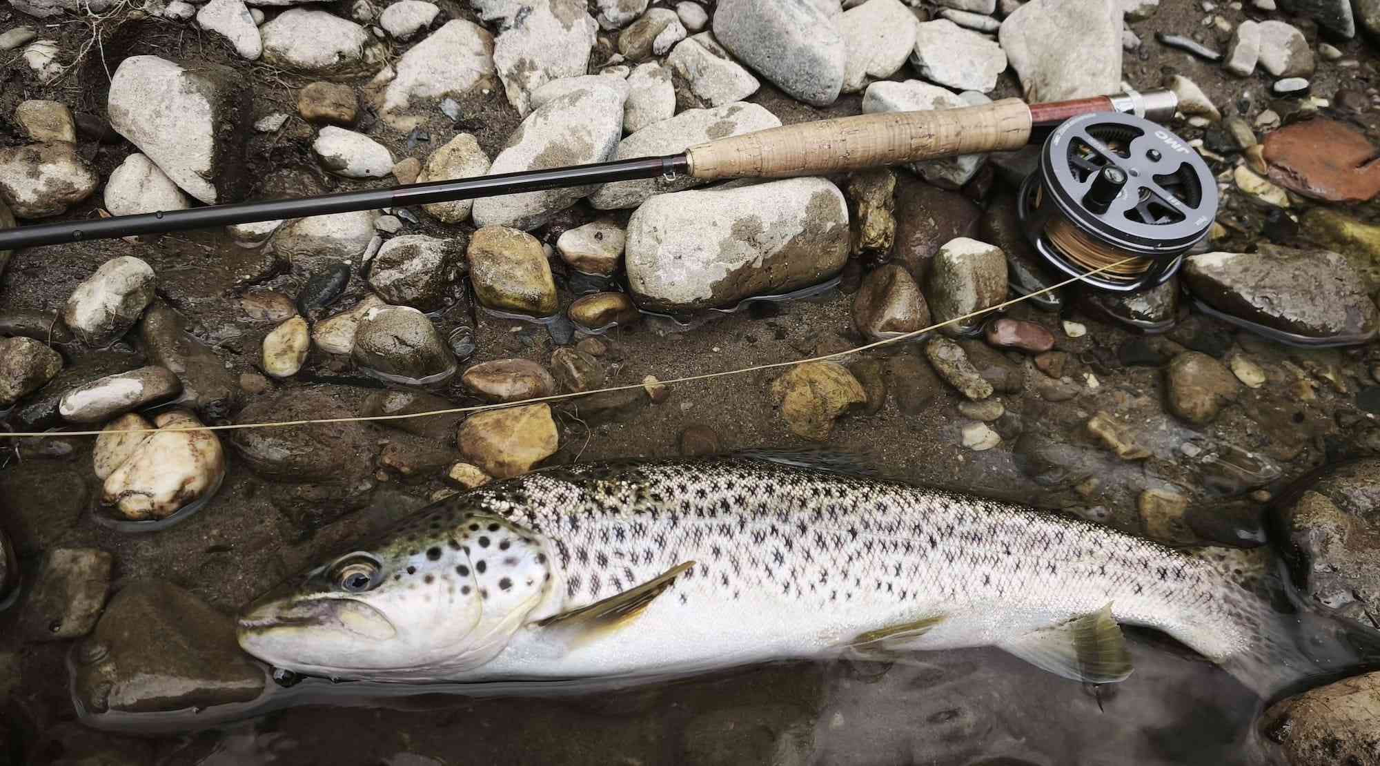 IMG_20260424_183513 copie 2